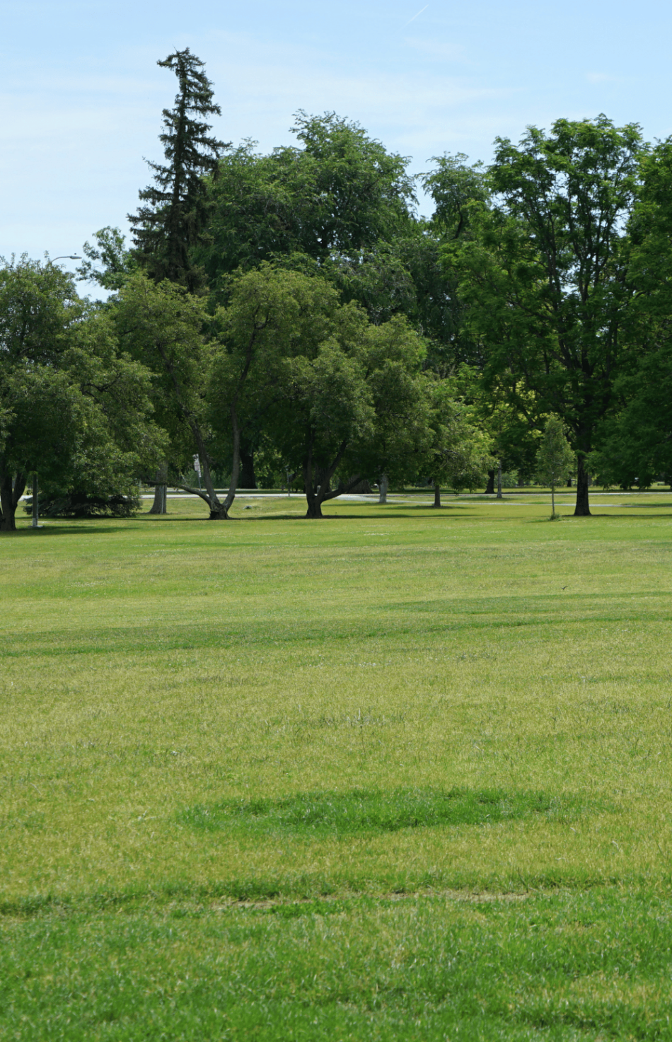 7000 Sq.ft Wedding Lawn
