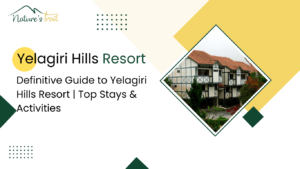 yelagiri hills resort