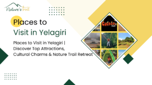 places to visit in yelagiri