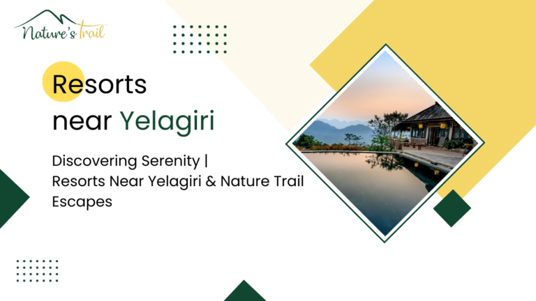 resorts near yelagiri